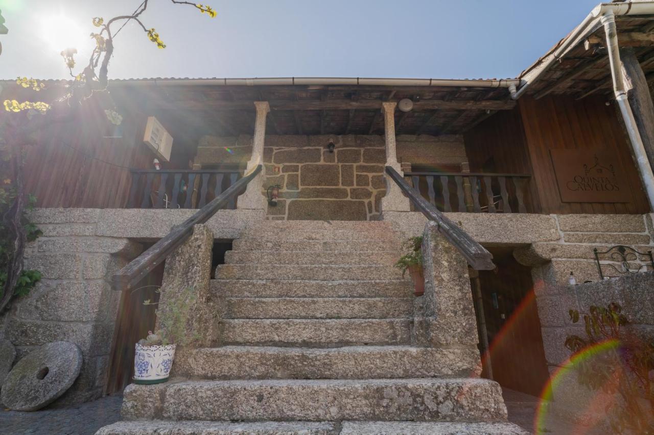 Farm stay Quinta De Calvelos