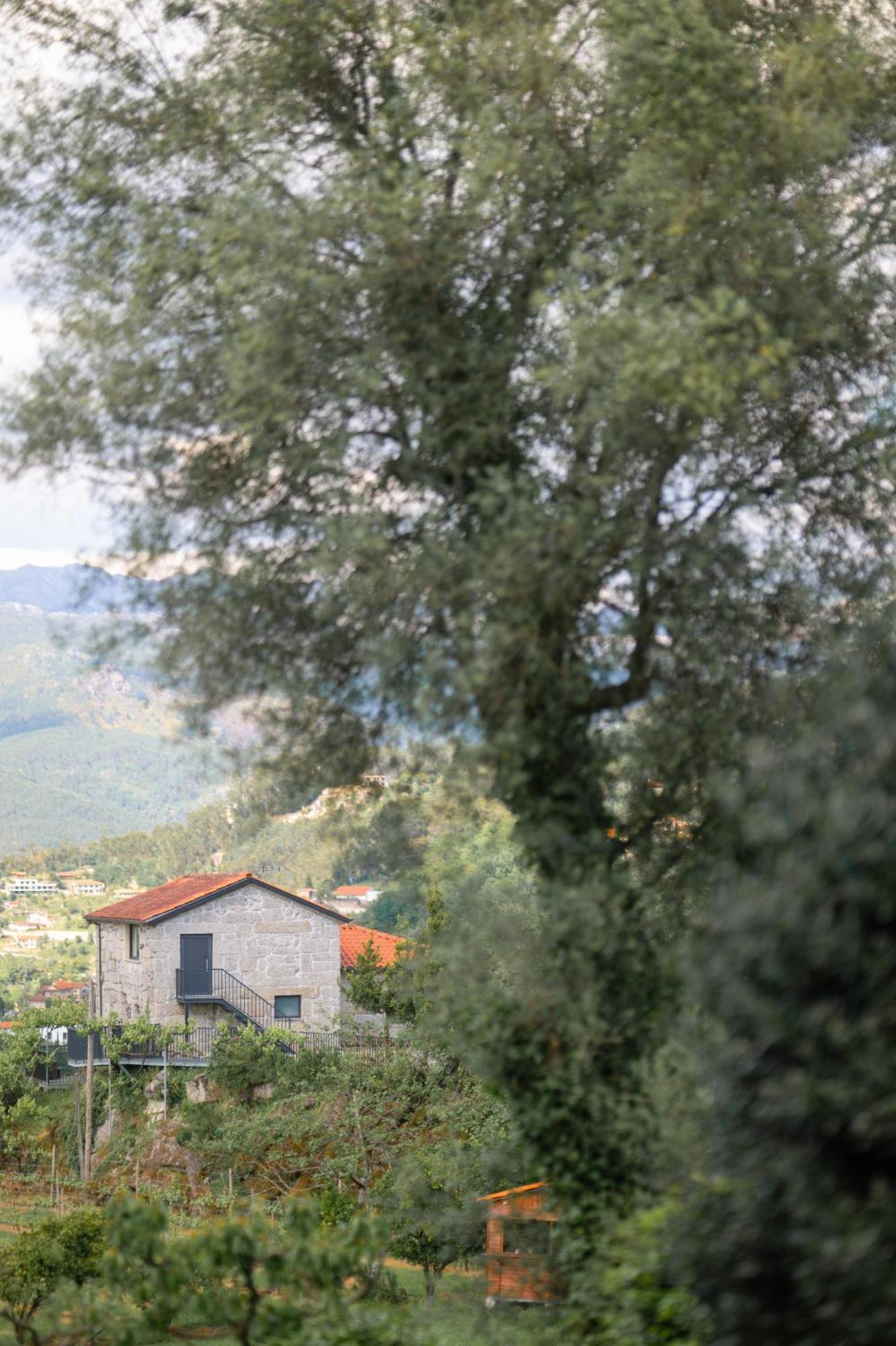 Quinta De Calvelos Alloggio per agriturismo