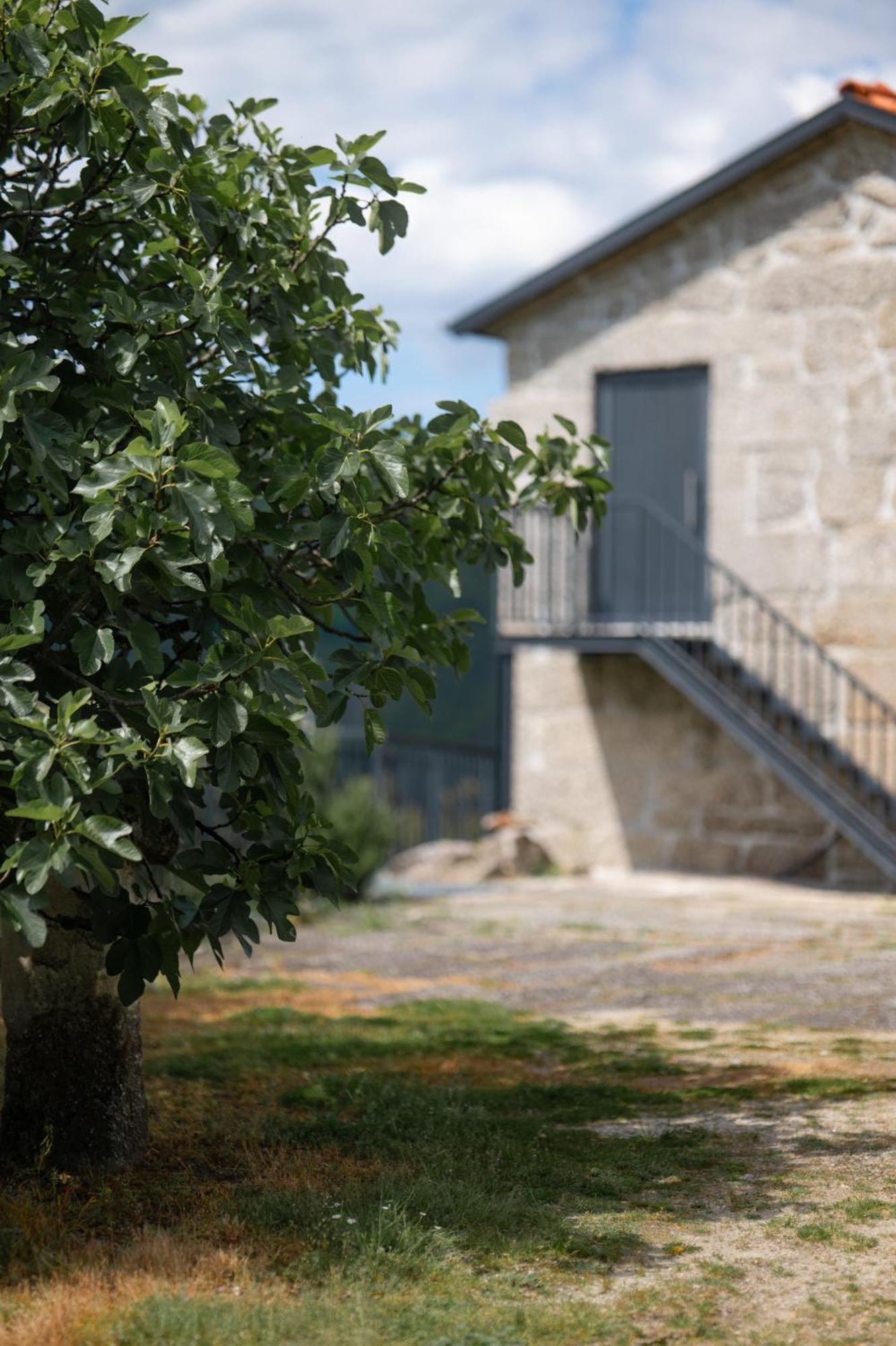 Quinta De Calvelos